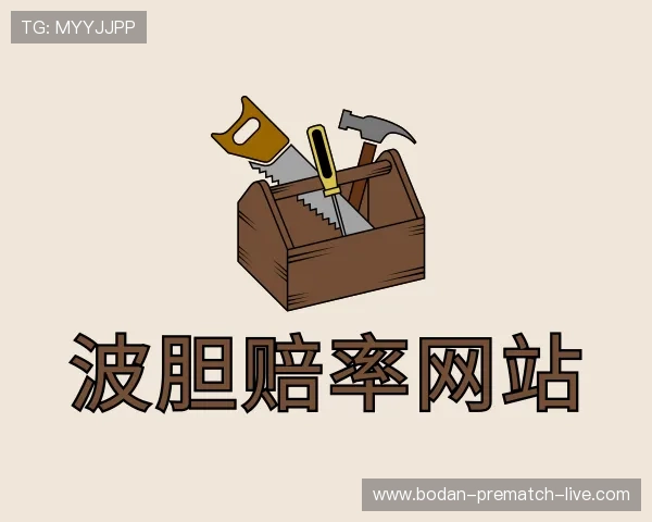 介绍足球波胆网站